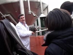 Explication du processus de fermentation par le maître des lieux.